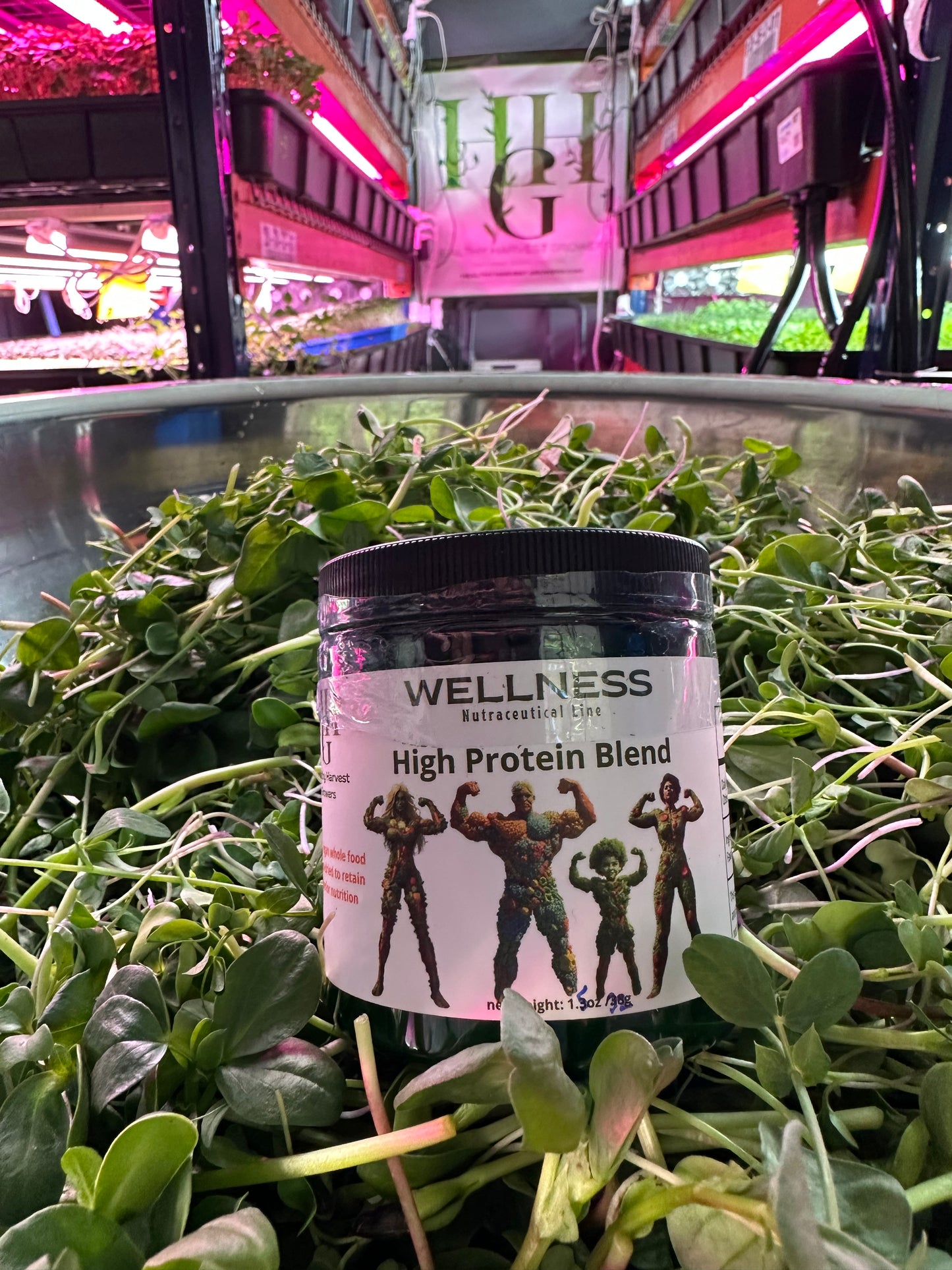 SM High Protein Powder