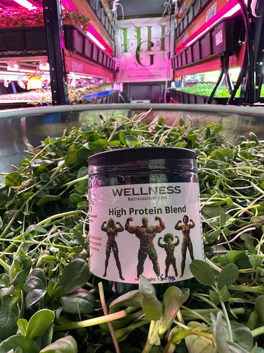 SM High Protein Powder