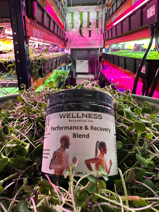 SM Performance & Recovery Powder