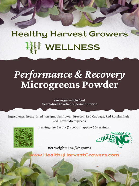Performance & Recovery Powder