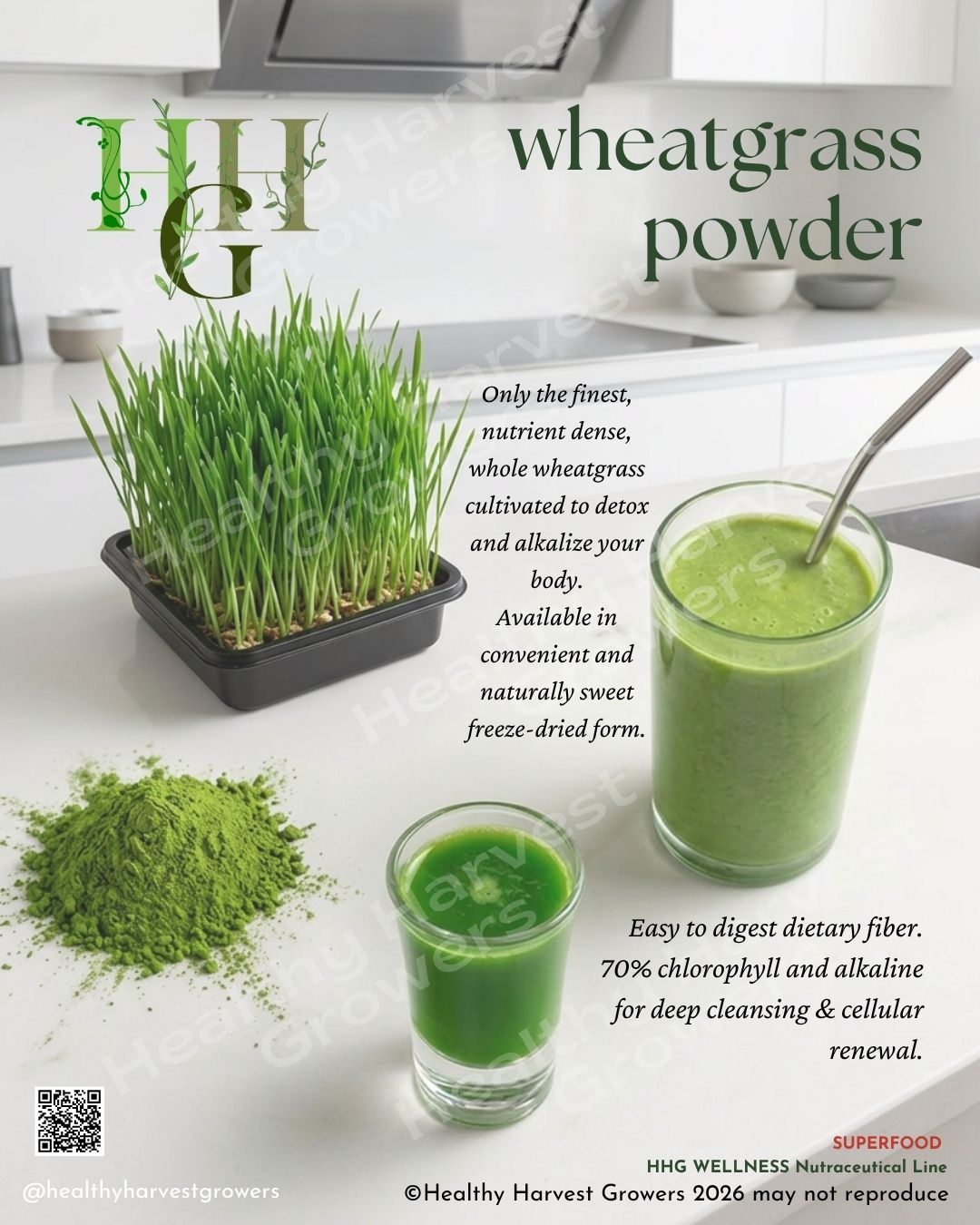Organic Wheat Grass Powder