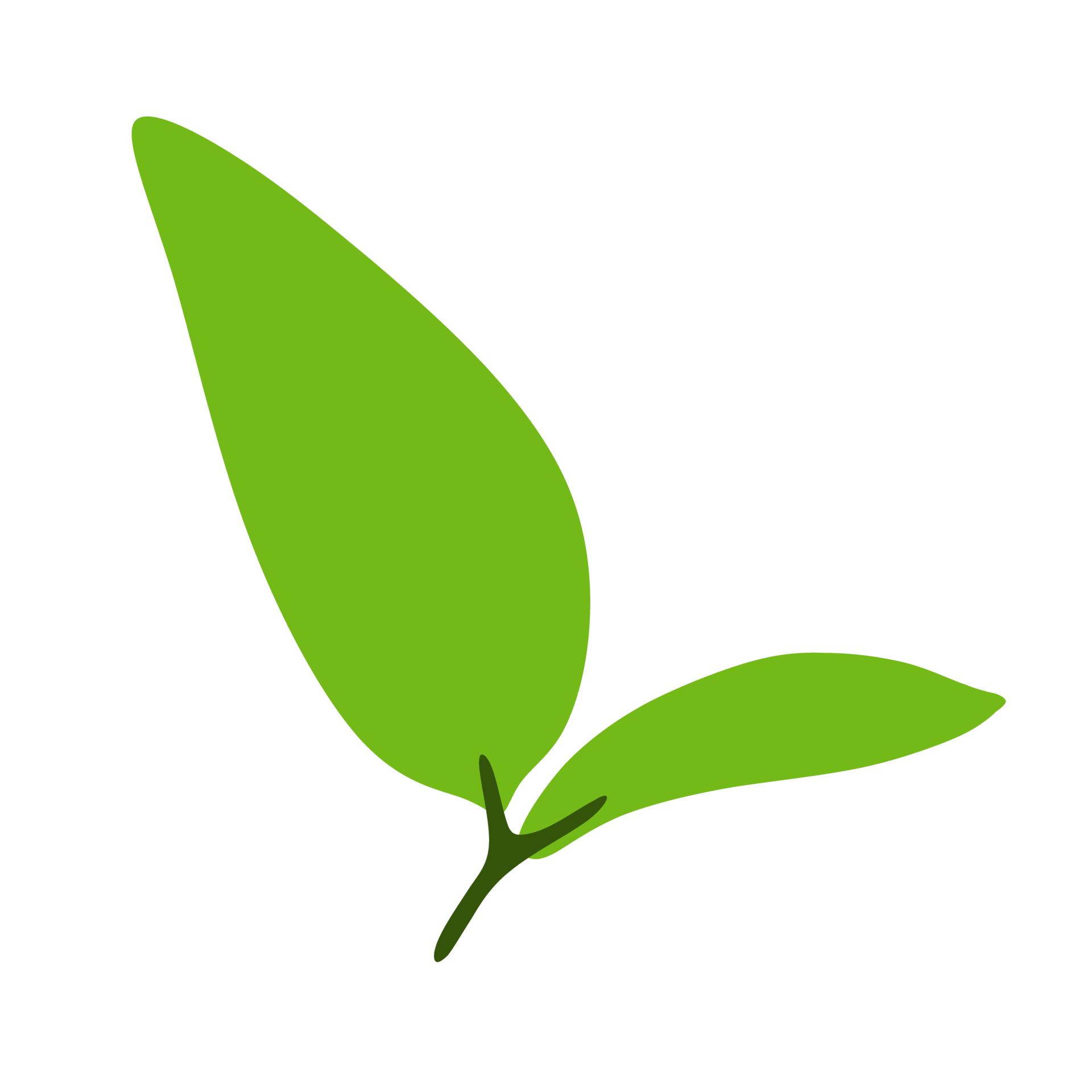 Sprout Membership