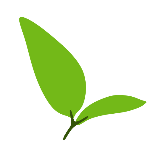 Sprout Membership